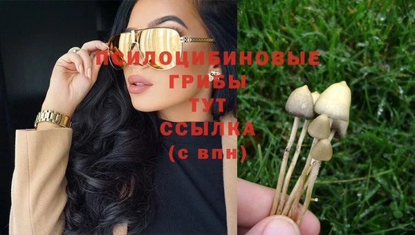ECSTASY Нязепетровск
