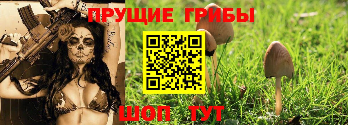 APVP Качканар