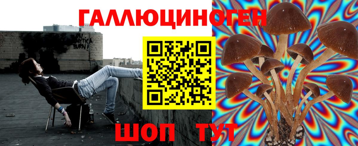 APVP  Вход с VPN  КОКАИН  Качканар  Гашик  Диски  Мяу-Мяу  Ляпка  ЛЁД 