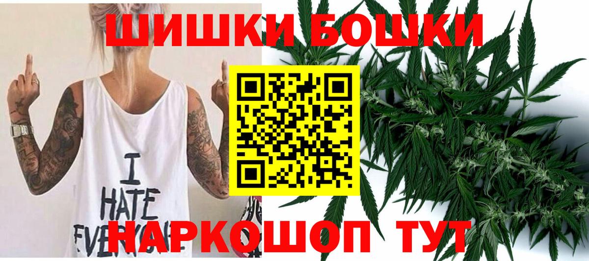 Каннабис планчик Качканар